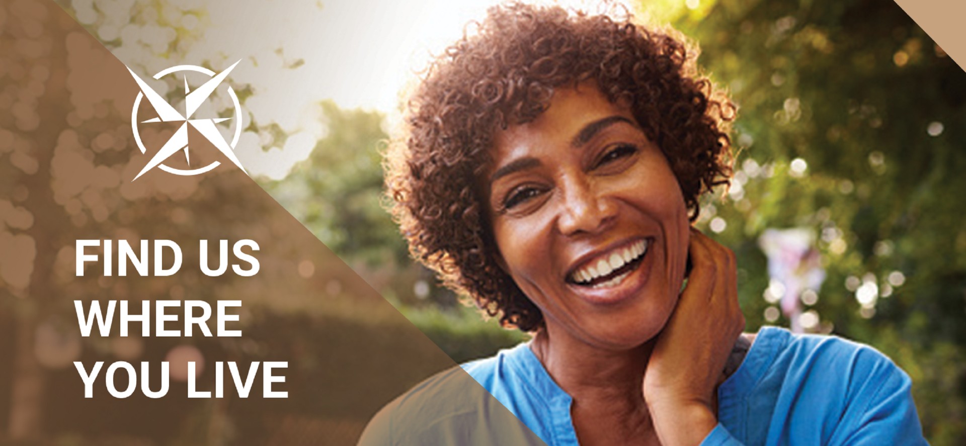 Tan-header-compass-d